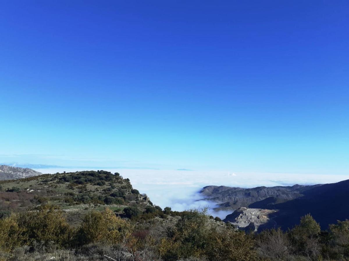 Soto en Cameros Casasdetrevijano Mirador De Mateo 빌라 외부 사진